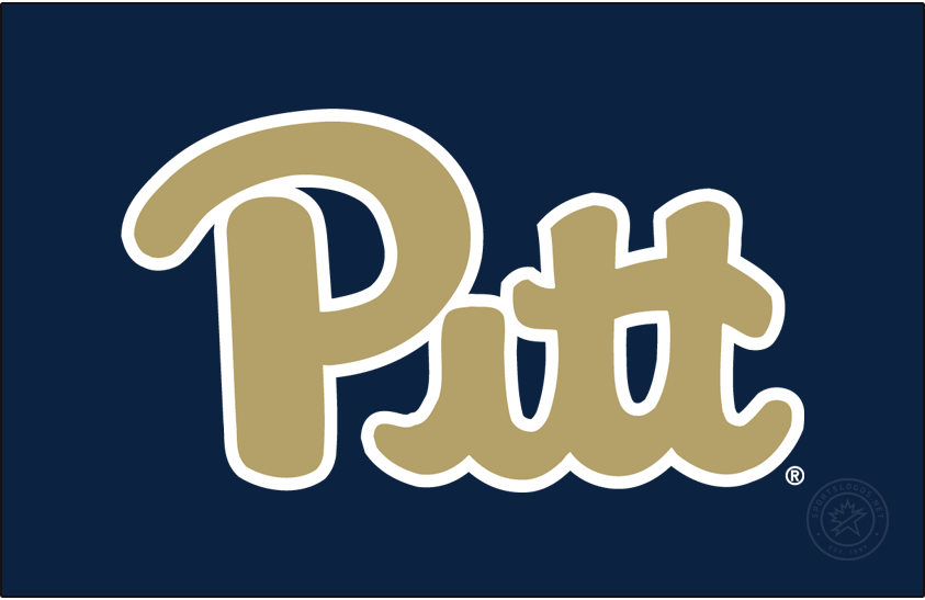 Pittsburgh Panthers 2016-2019 Primary Dark Logo diy DTF decal sticker